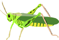 Reptiles of Australia