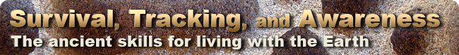 Tracking Animals - How To Read Animal Tracks