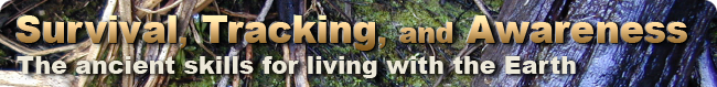 Survival Courses near Sydney and the Blue Mountains NSW - Bush Survival, Wilderness Survival