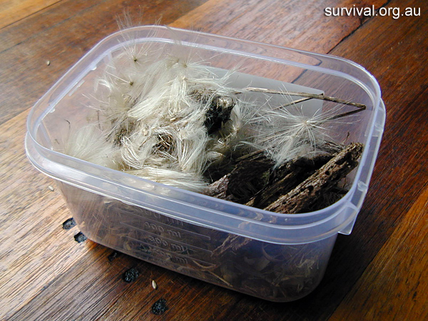 Cirsium vulgare - Spear Thistle - Bush Tucker Plant Foods Cirsium vulgare - Spear Thistle - Bush Tucker Plant Foods
