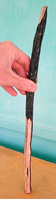Figure Four Trap Vertical