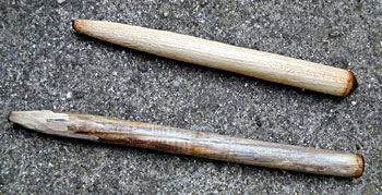 Bow Drill Fire Kit - Drills