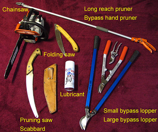 The Basic Gardening Tools The Basic Gardening Tools