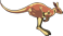 Mammals of Australia