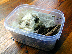 Tinder in Small Box