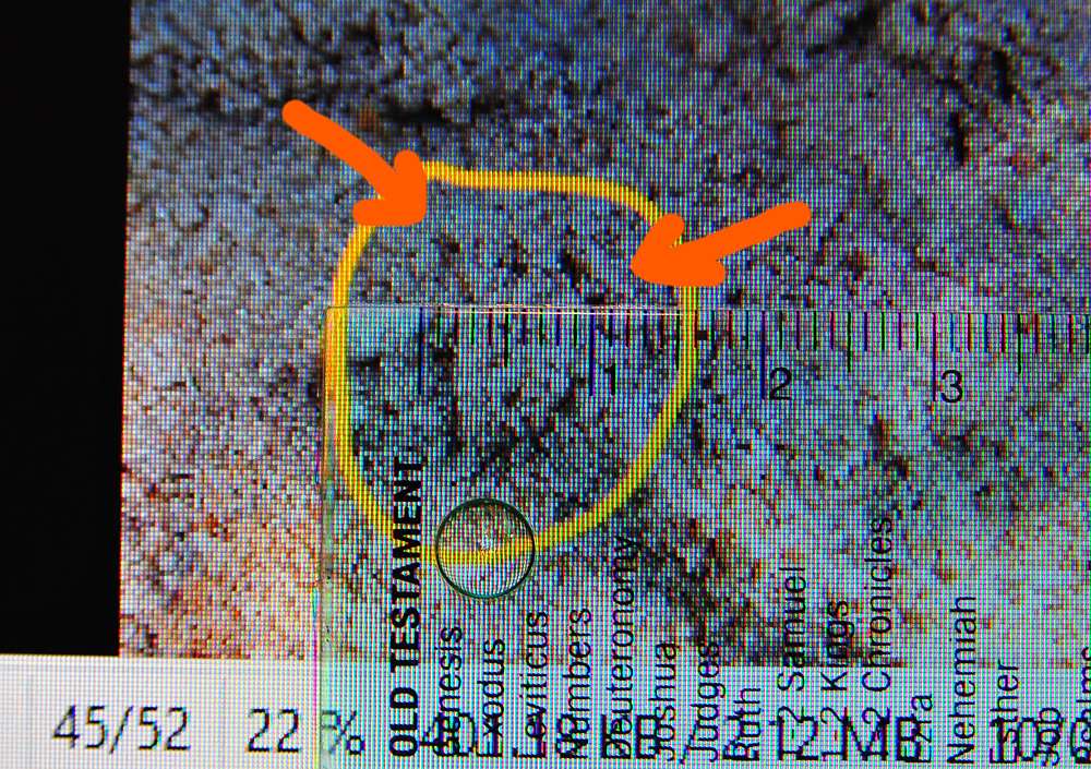 With the same zoom setting, the claw marks spread across 1 centimetre - Make an Instant Tracking Box to Learn Animal Tracking - Survive.au