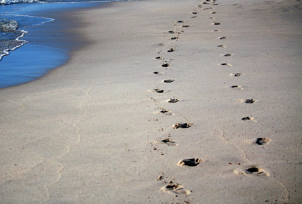 Animal Tracking Quiz, Question 9 - Can you identify this animal track?