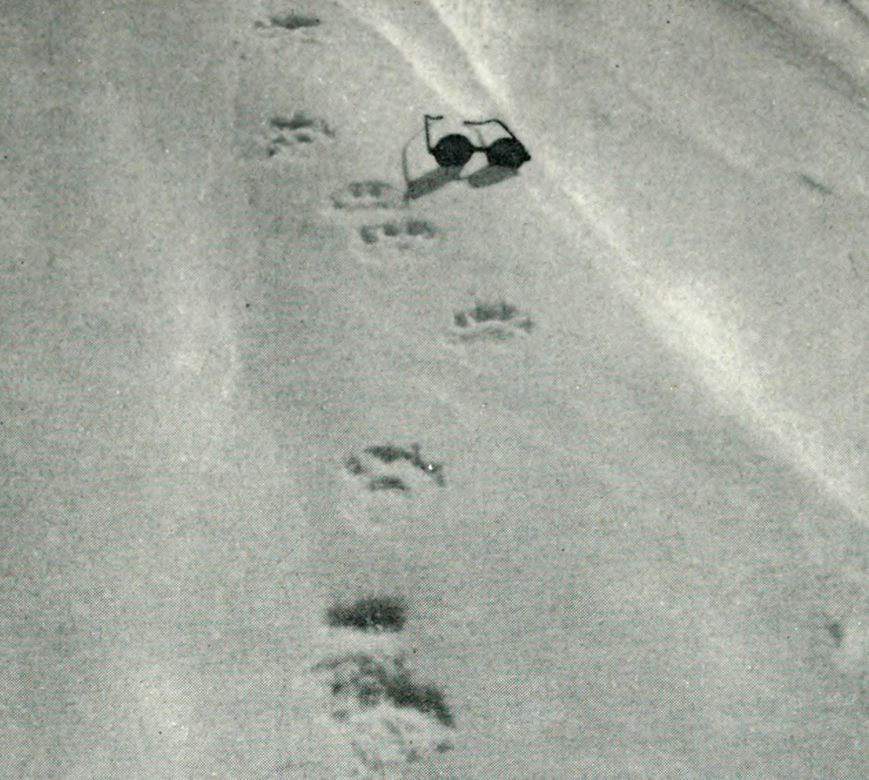 Animal Tracking Quiz, Question 10 - Can you identify this animal track?